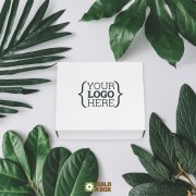 Build a Box - Custom Boxes | How Custom Packaging is Eco-Friendly